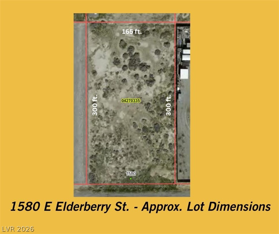 1580 East Elderberry Street Pahrump NV 89048