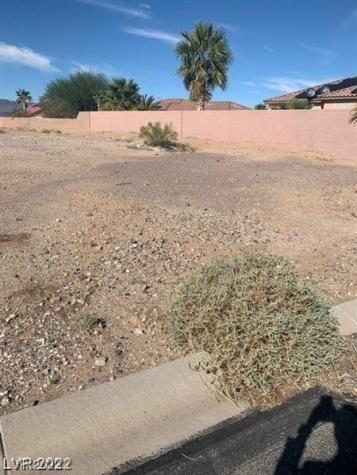 11 Scenic View Lane Palm Gardens NV 89039