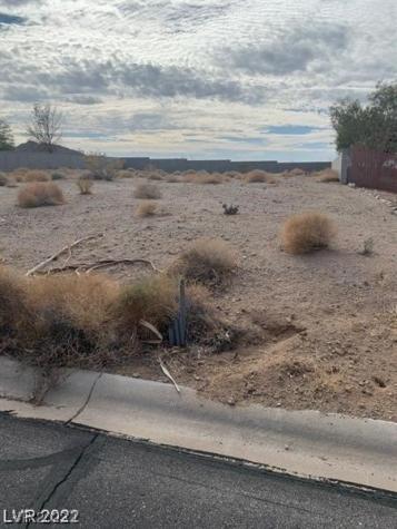 11 Scenic View Lane Palm Gardens NV 89039