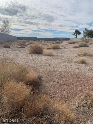 11 Scenic View Lane Palm Gardens NV 89039