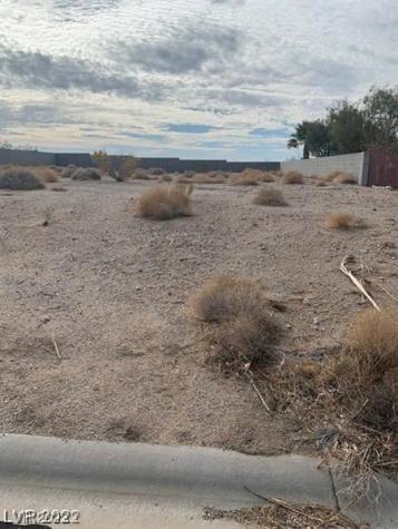 11 Scenic View Lane Palm Gardens NV 89039