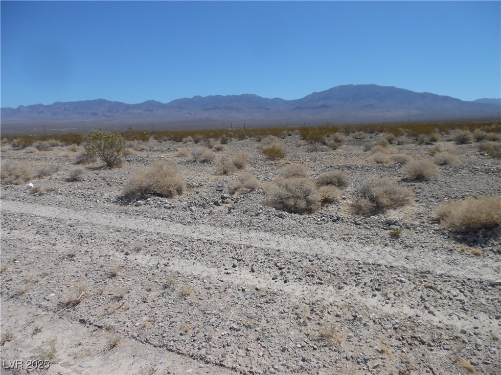 3781 North Kittyhawk Drive Pahrump NV 89060