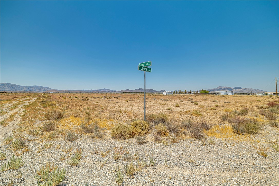 1690 West Gray Fox Way Pahrump NV 89048