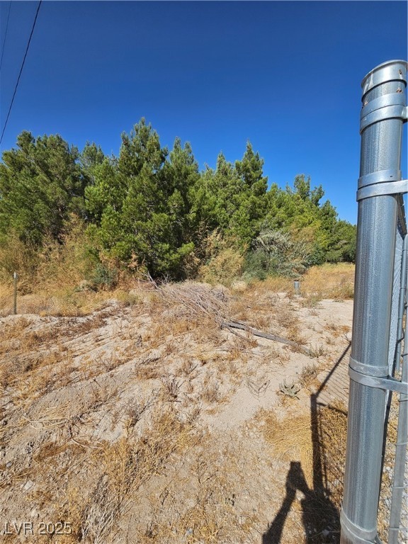 3091 East Zolin Avenue Pahrump NV 89048