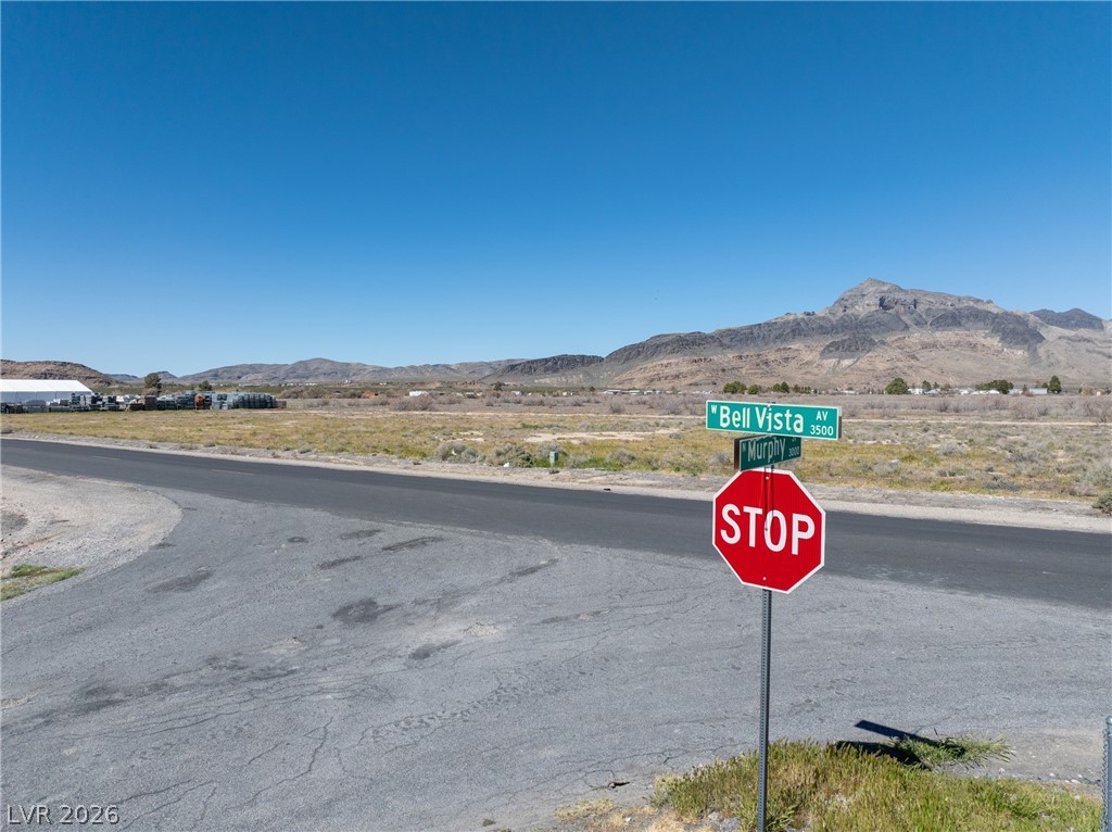 3540 West Bell Vista Avenue 4 Pahrump NV 89060