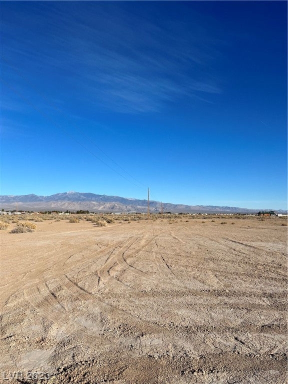 3721 South Woodchips Road Pahrump NV 89048