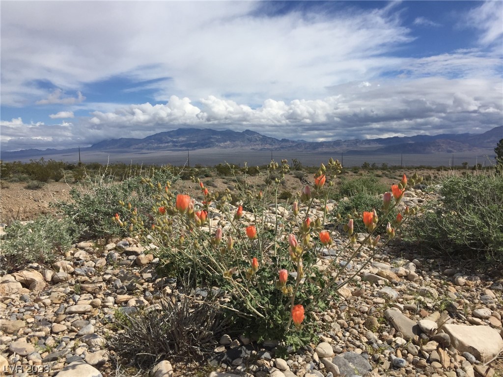Kyle Canyon Road Las Vegas NV 89166