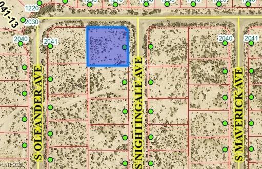 2050 South Nightingale Avenue Pahrump NV 89048