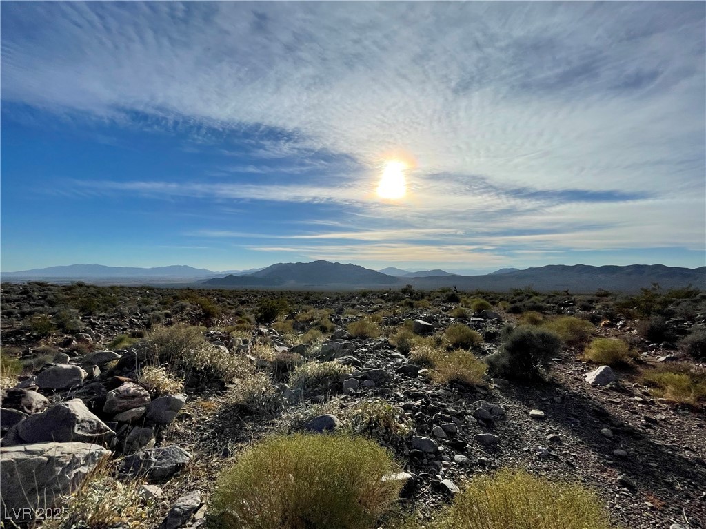 341 East Aardvark Road Pahrump NV 89020