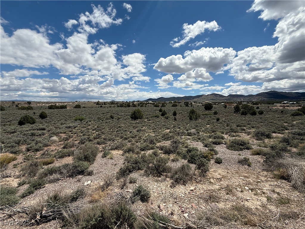 Hickory Pioche NV 89043