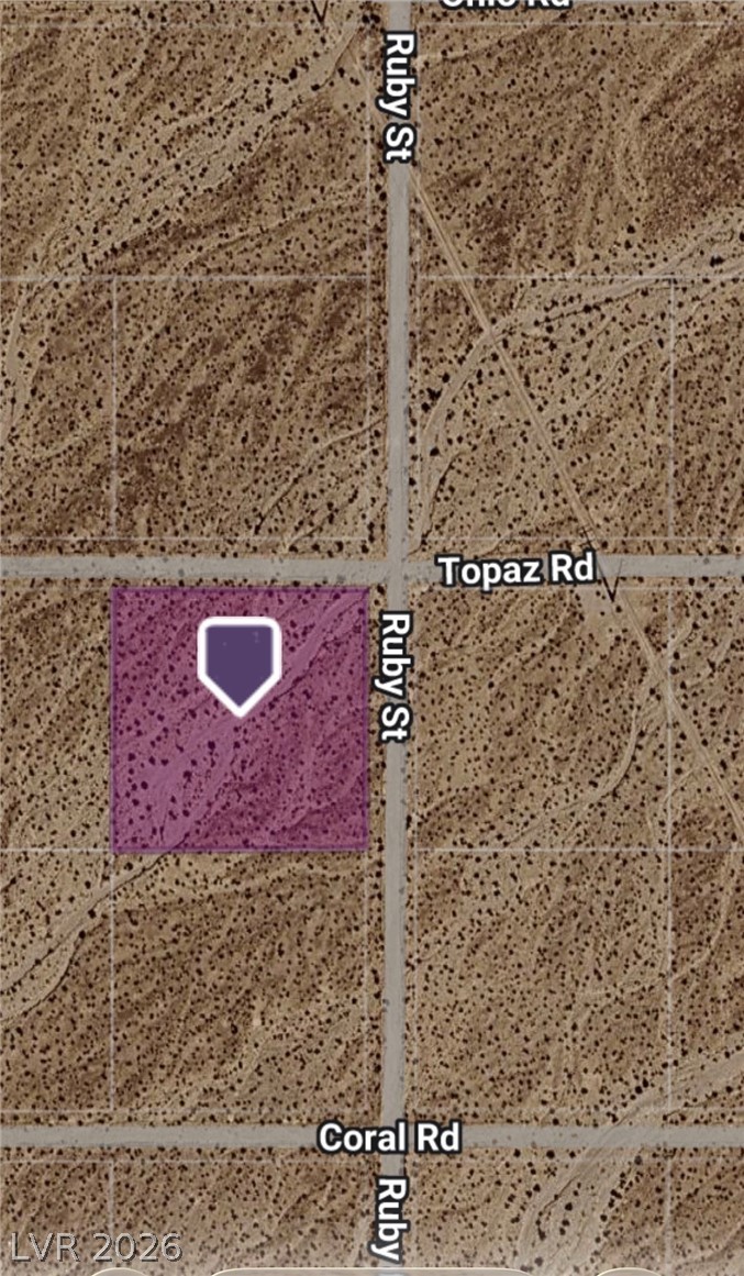 1781 West Topaz Road Pahrump NV 89060