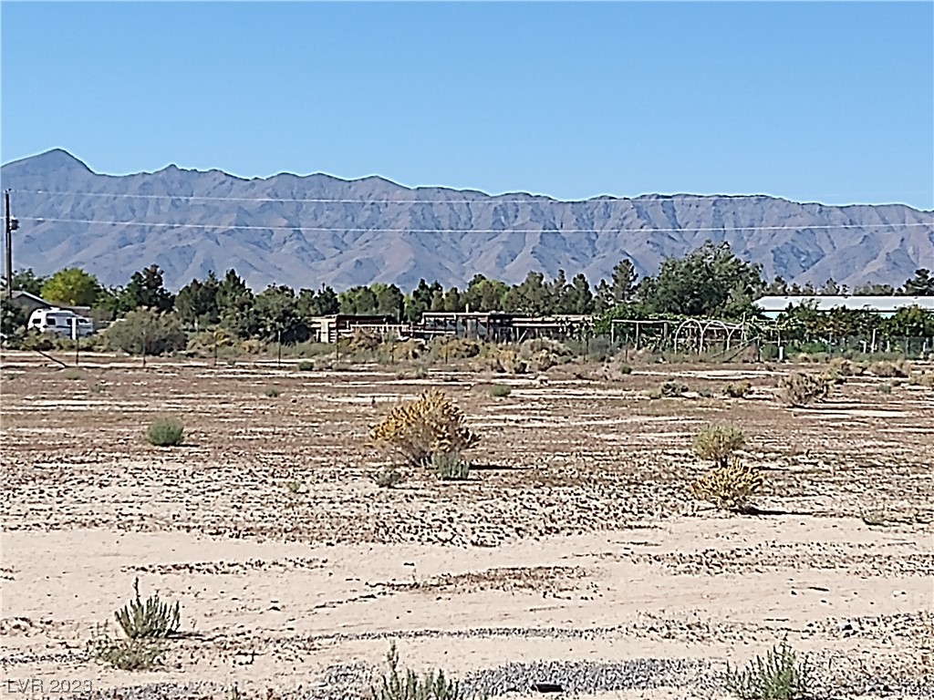 6660 Oakridge Avenue Pahrump NV 89048