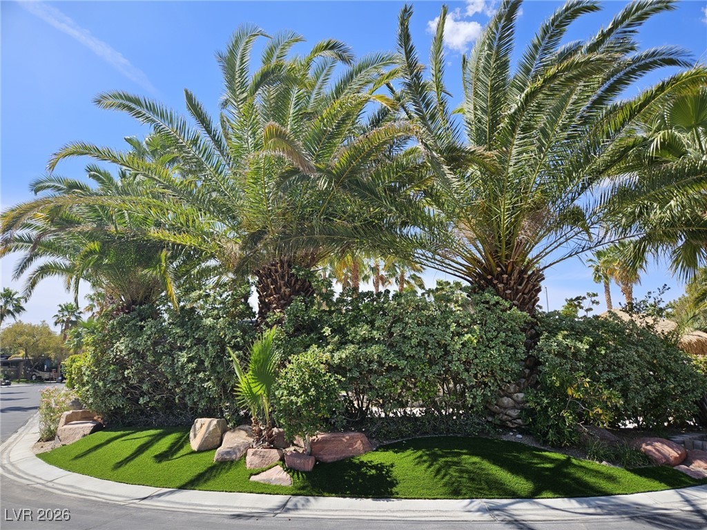 8175 Arville Street 157 Las Vegas NV 89139