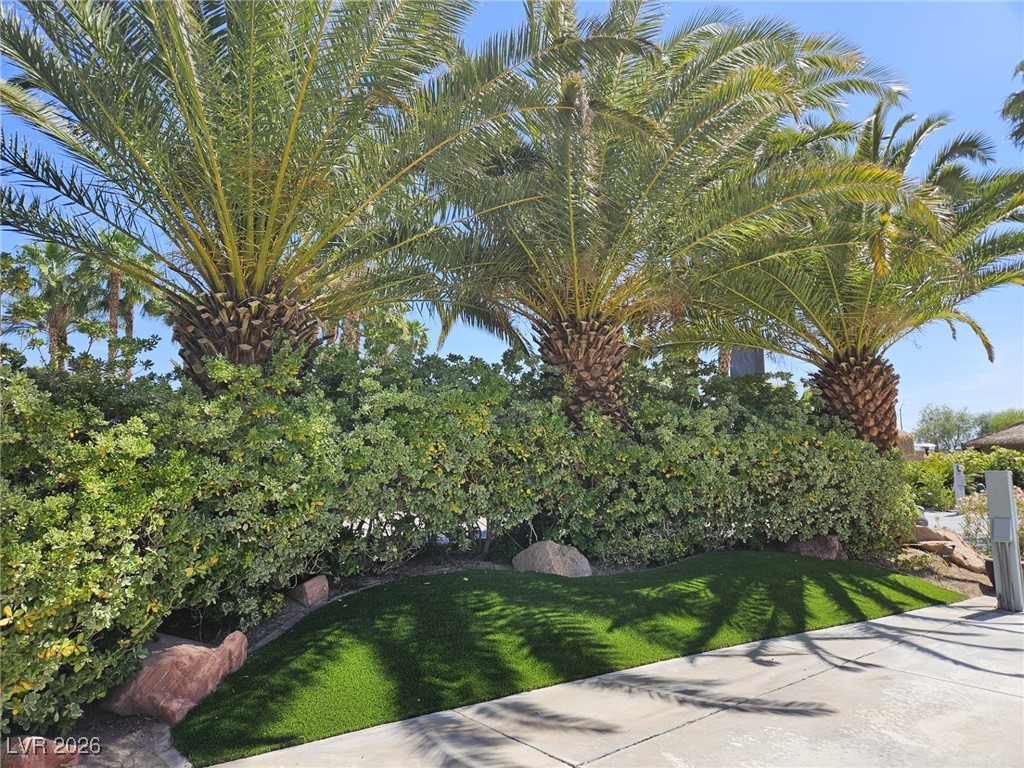 8175 Arville Street 157 Las Vegas NV 89139