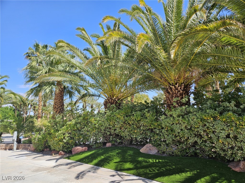 8175 Arville Street 157 Las Vegas NV 89139