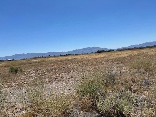 1981 Ironhorse Street Pahrump NV 89048