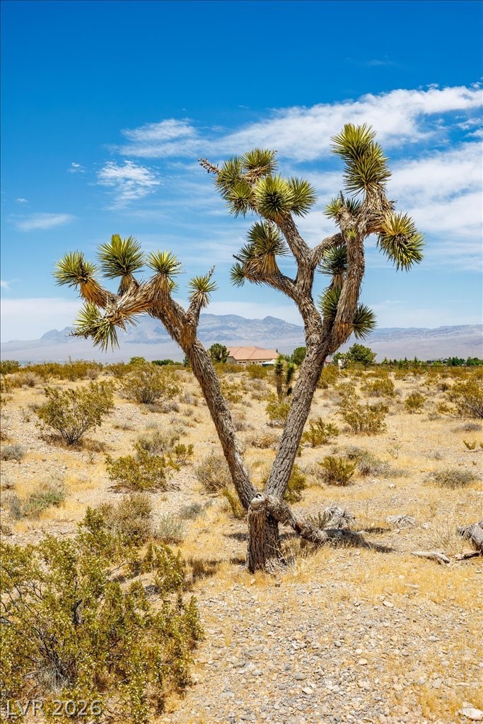 Racel Apn 126-08-801-001 Las Vegas NV 89166