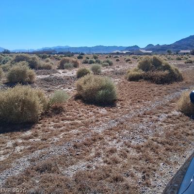 1381 West Cobalt Lane Pahrump NV 89060