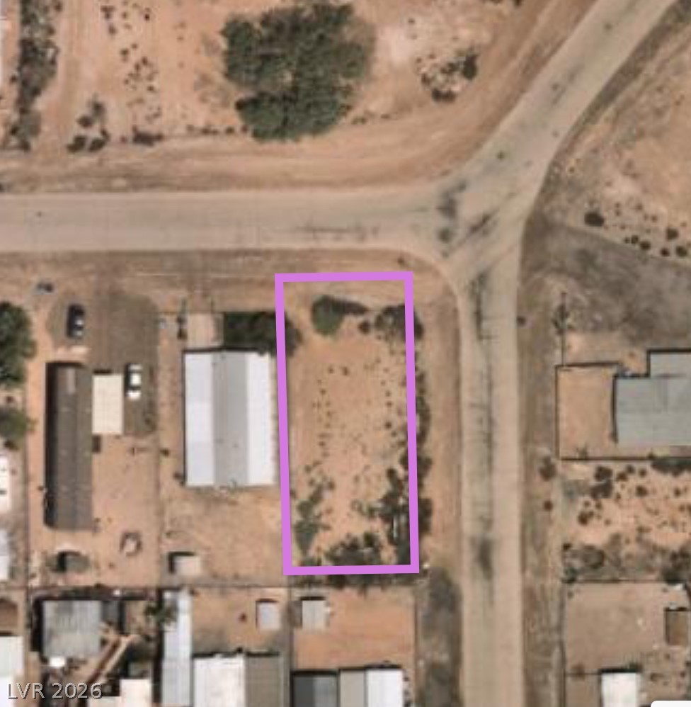 Adelle Overton NV 89040
