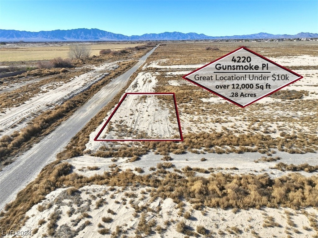 4220 South Gunsmoke Place Pahrump NV 89061
