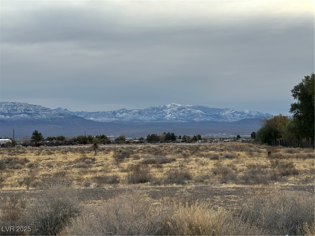 2473 Balzar Street Pahrump NV 89060