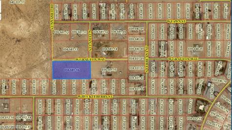 1691 West Gray Fox Way Pahrump NV 89048