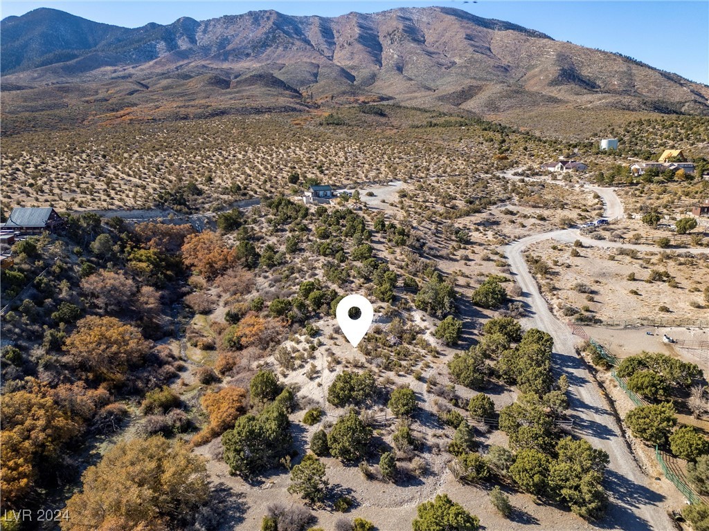 112 Rudin Drive Cold Creek NV 89124