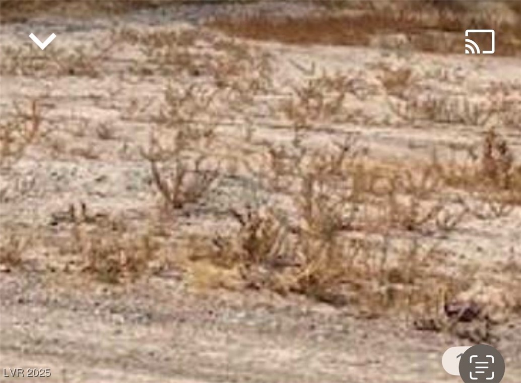 2380 North Leslie Pahrump NV 89060