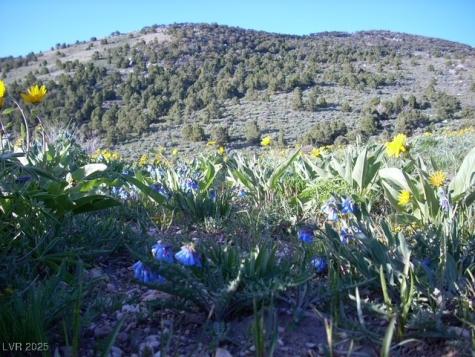 Bbk 634 Acre Parcel Other NV 89835