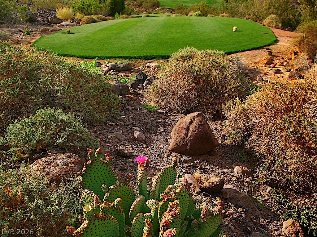 527 Rock Peak Drive Henderson NV 89012