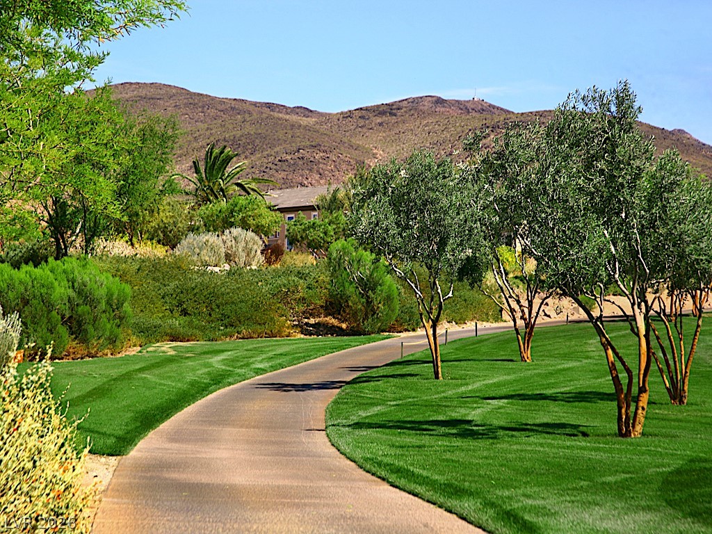 527 Rock Peak Drive Henderson NV 89012