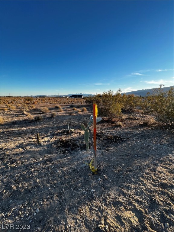 1831 East Mead Street Pahrump NV 89048