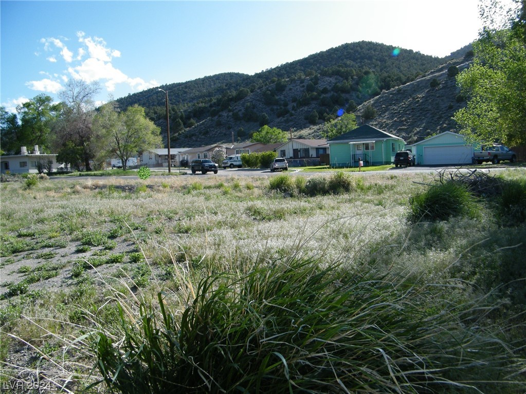 Mill Street Ely NV 89301