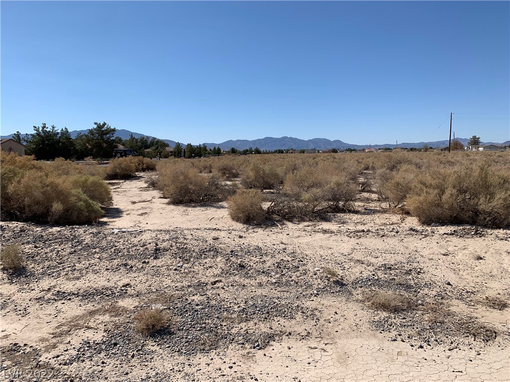 3330 South Oakridge Avenue Pahrump NV 89048