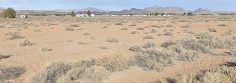 1800 South Woodchips Road Pahrump NV 89048