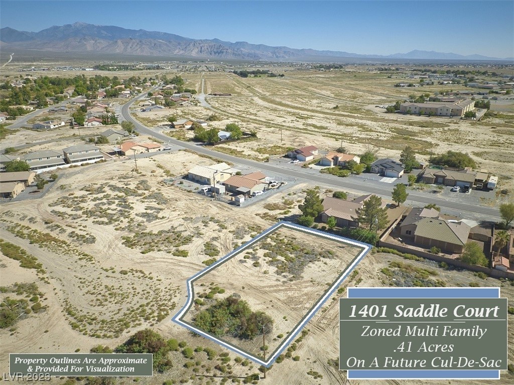 1401 South Saddle Court Pahrump NV 89048
