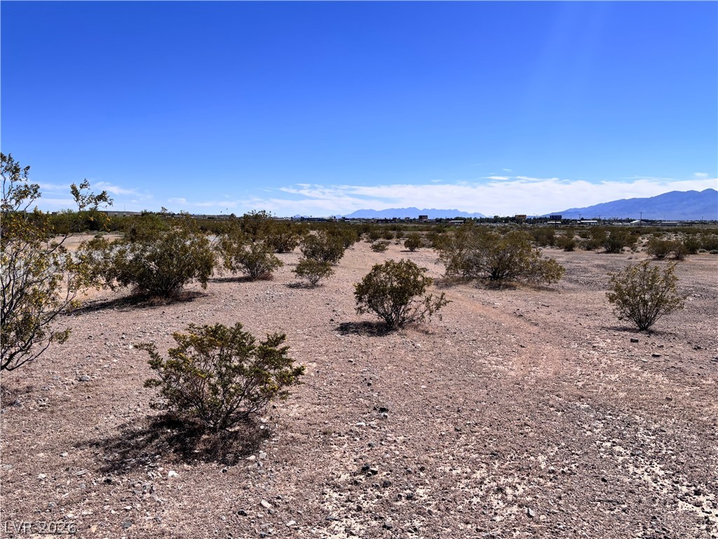 970 North Inca Lane Pahrump NV 89060