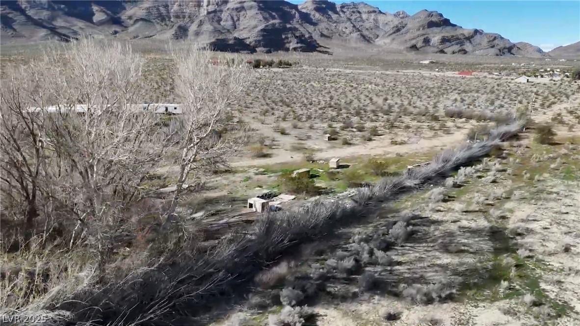 6061 North Woodchips Road Pahrump NV 89060