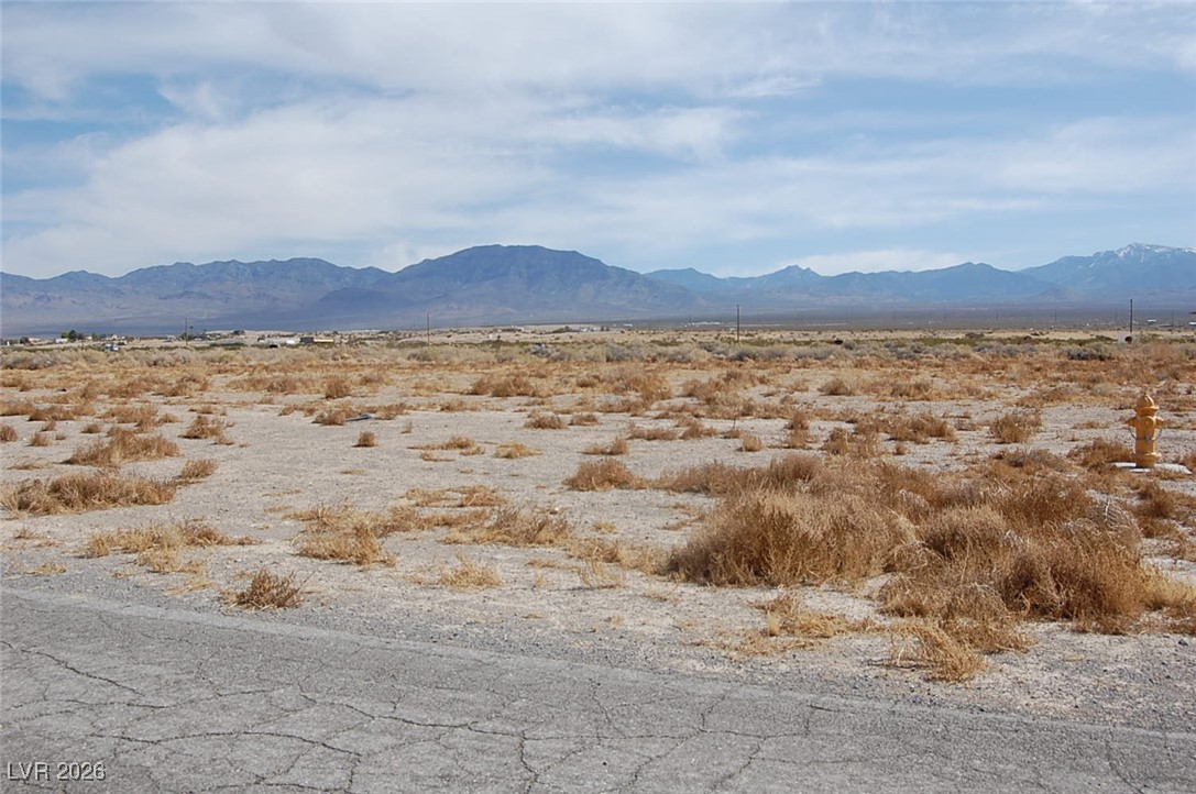 651 North Corral Street Pahrump NV 89060