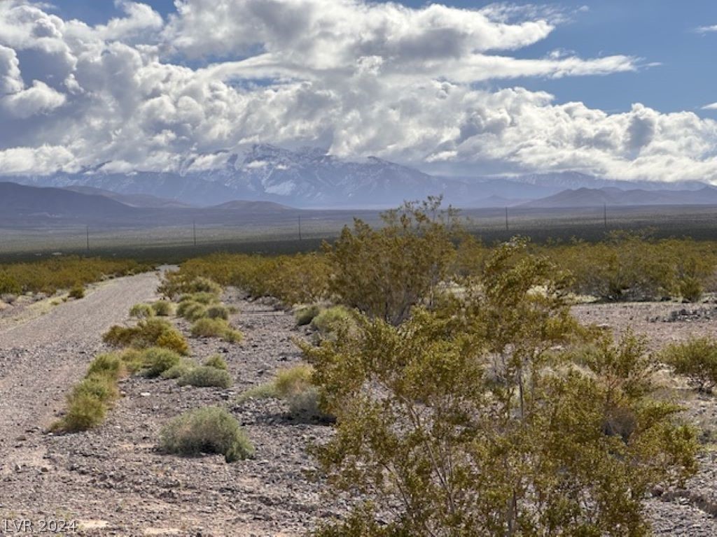 1281 Latigo Drive Pahrump NV 89060