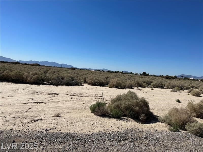 4100 South Largo Avenue Pahrump NV 89061