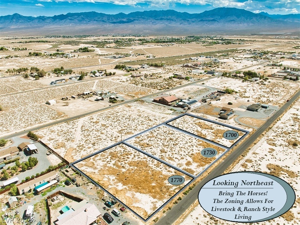 1700 Georgene Street Pahrump NV 89060