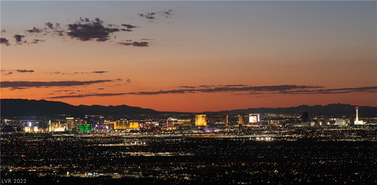 19 Sky Arcade Court Henderson NV 89012