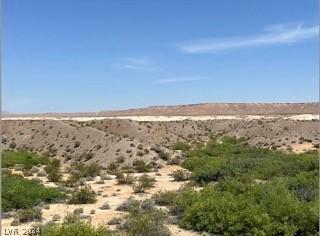 Lewis Overton NV 89040