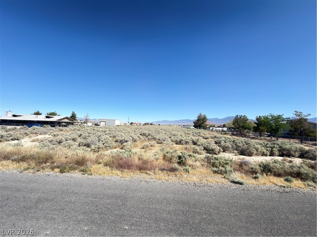 2710 East Deerskin Street Pahrump NV 89048