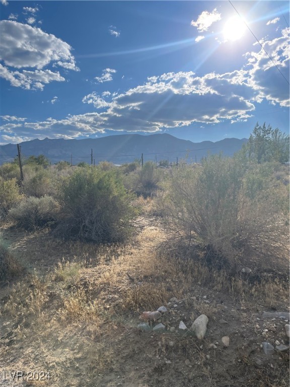 255 South Baker Avenue Other NV 89311
