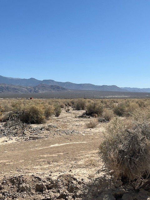 3831 South Lookout Avenue Pahrump NV 89048