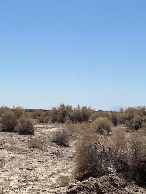 3831 South Lookout Avenue Pahrump NV 89048