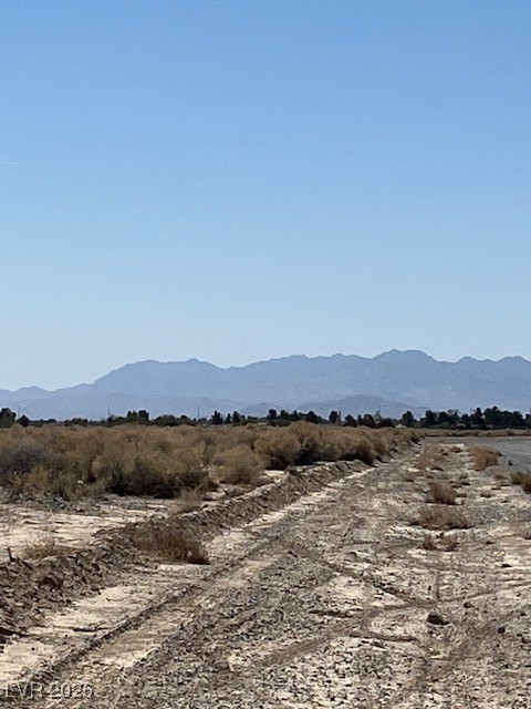 3831 South Lookout Avenue Pahrump NV 89048