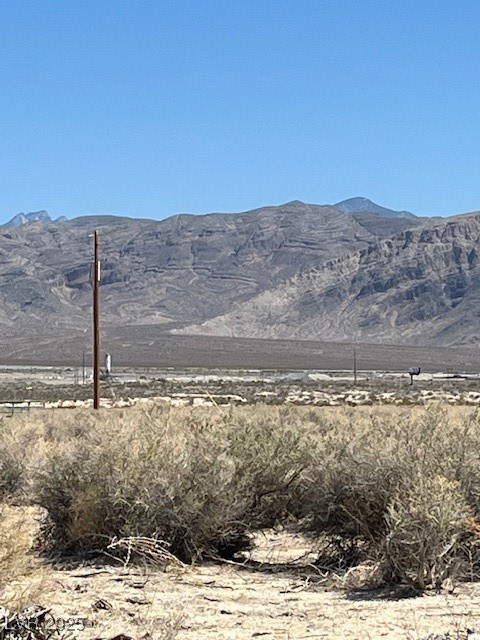 3831 South Lookout Avenue Pahrump NV 89048
